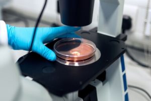 Home Diagnostic Lab Case Gallery 4 300x200 1